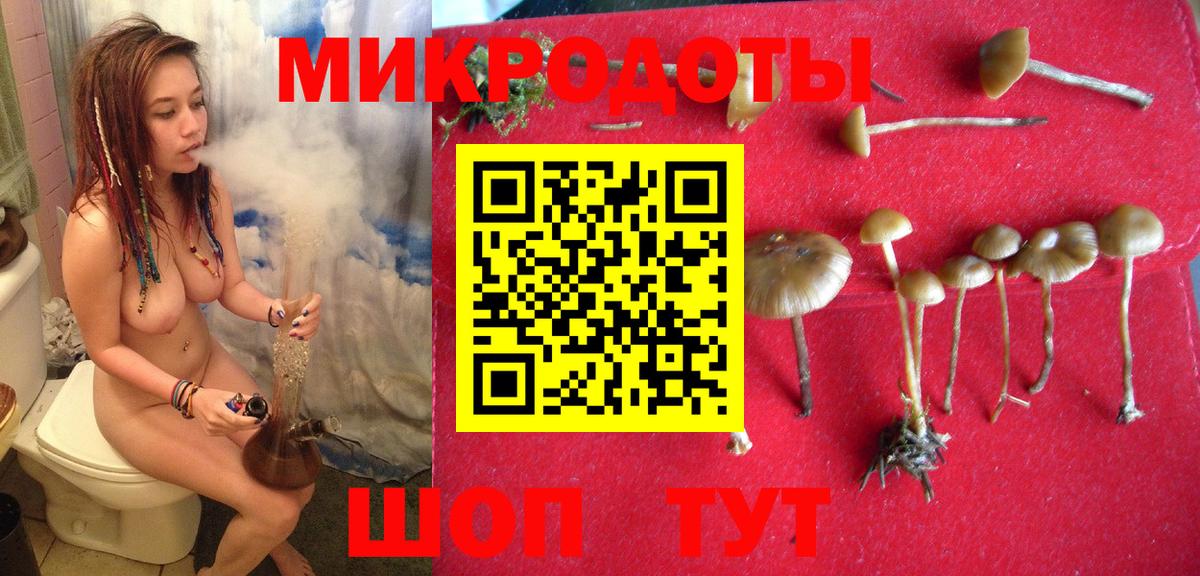 Псилоцибиновые грибы MAGIC MUSHROOMS Удомля